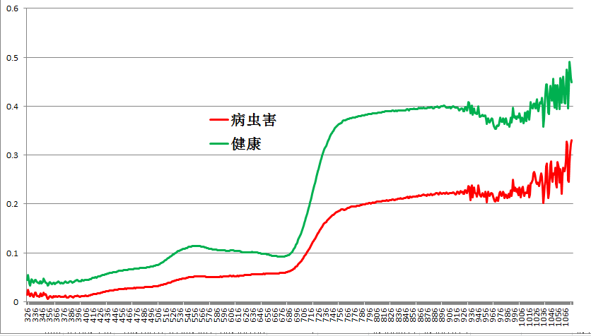 健康與病蟲(chóng)害光譜特征曲線比對(duì).png